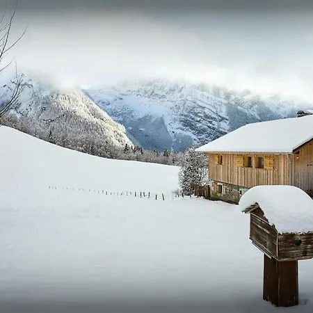 Aymon - Ovo Network * Samoëns